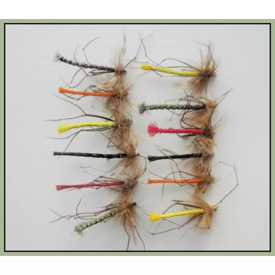 12 Coloured Detached Daddys, GH & Unweighted