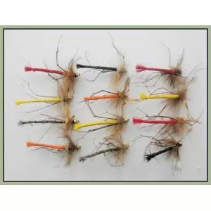 12 Goldhead Detached Coloured Daddy Long Legs