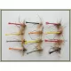 12 Goldhead Detached Coloured Daddy Long Legs