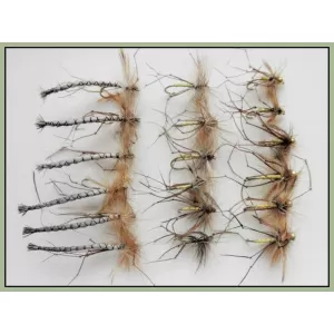 18 Daddy Long Legs, Detached,Goldhead and Natural