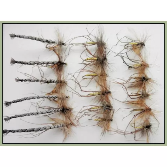 18 Barbless Daddy Long Legs, Detached and Standard