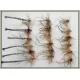 18 Barbless Daddy Long Legs, Detached and Standard