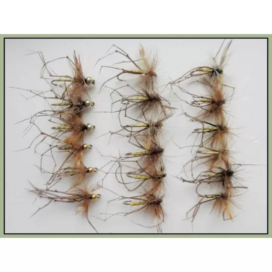 18 Daddy Long Legs, Normal & Goldhead