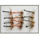 12 Goldhead detached Daddy Long Legs - Orange, Black, Olive