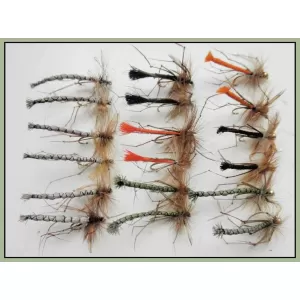 18 Daddy Long Legs, Detached Bodies