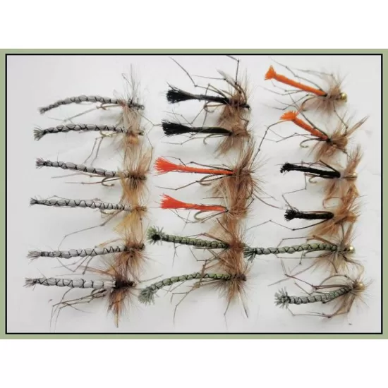 18 Daddy Long Legs, Detached Bodies