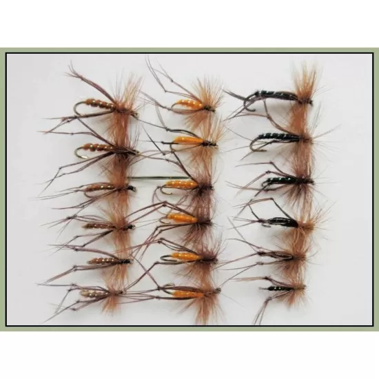 18 Hoppers- Black, Brown & Orange