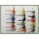 18 Coloured Dragon Flies - Full Colour Range