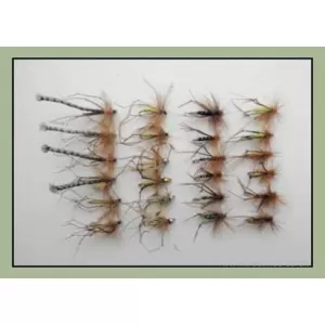 24 Mixed Daddys and Hoppers