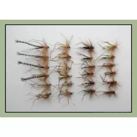 24 Mixed Daddys and Hoppers