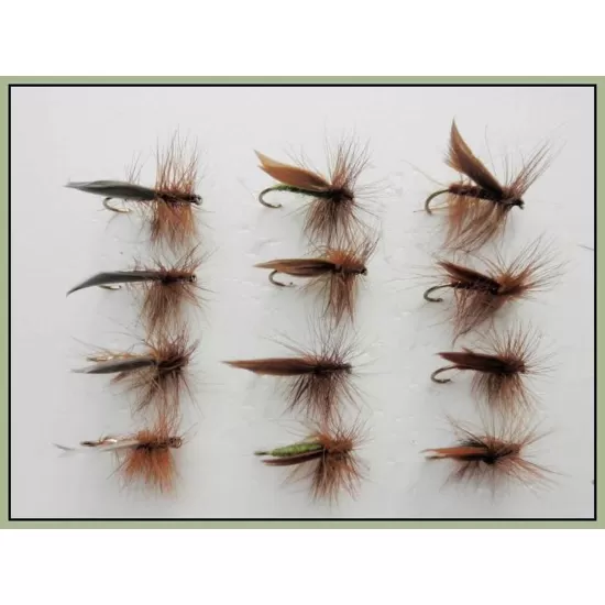 12 Sedge Dries, Olive Silver and Brown