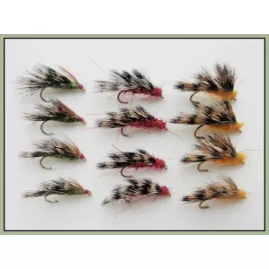 12 Sedgehogs - Red, Orange & Olive