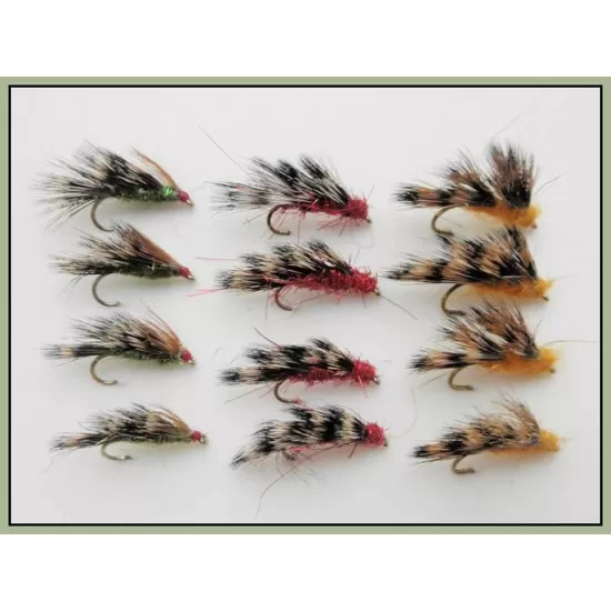 12 Sedgehogs - Red, Orange & Olive