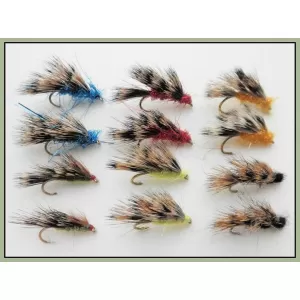 12 Mixed Sedgehogs AKA Halfhogs