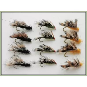 12 Sedgehogs - Black, Olive & Orange