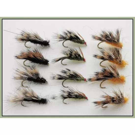 12 Sedgehogs - Black, Olive & Orange