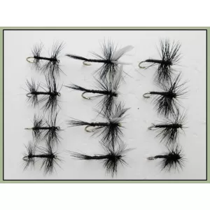 12 Dry Flies - Spider,Gnat & Knotted Midge