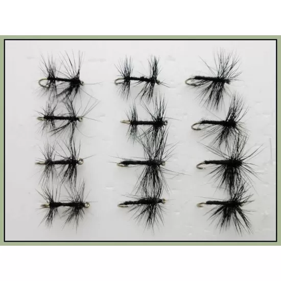 12 Dry Flies - Black Spider and Knotted Midge