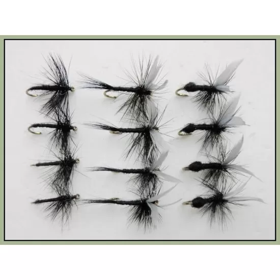 12 Dry Flies - Black Ant,Black Gnat & Spider