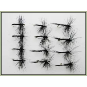 12 Dry Flies - Black Spider and Black Gnat