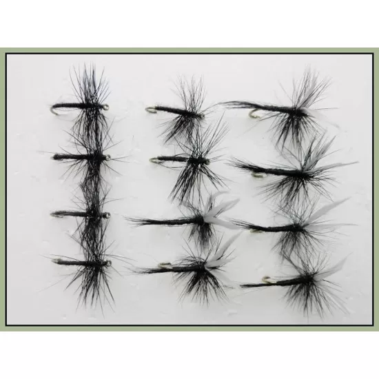 12 Dry Flies - Black Spider and Black Gnat