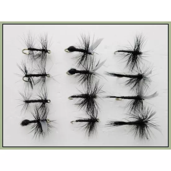 12 Drys, Spider,Midge,Gnat & Ant