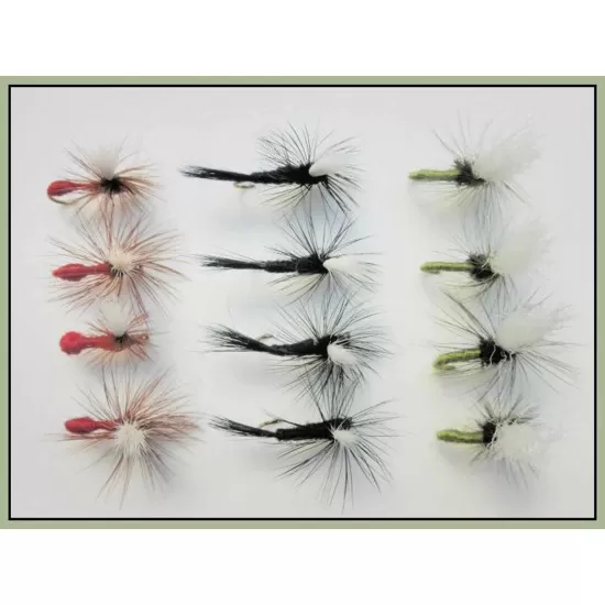 12 Parachute Dries - Olive Para, Black Gnat Para, Red Ant