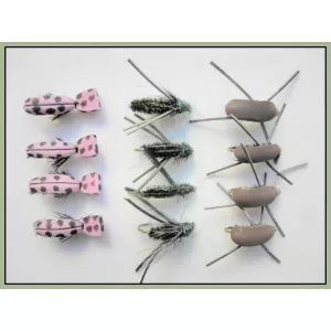 12 Beetles, Peacock,Pink Lady, Brown Gum
