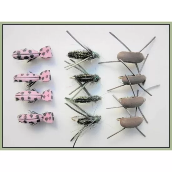 12 Beetles, Peacock,Pink Lady, Brown Gum