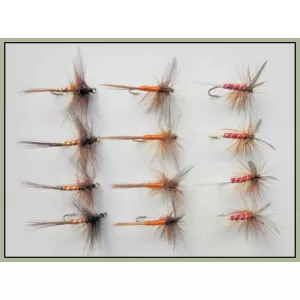 12 Dry Spinners, Orange, Sherry & Red Spinner