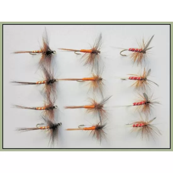 12 Dry Spinners, Orange, Sherry & Red Spinner