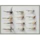 12 Dry Flies -Tups, Kites Imp, Ginger Quill