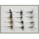 12 Dry Flies - Greenwell Glory, Three Varieties