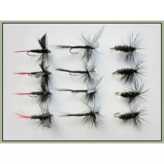 12 Dry Flies - Black Gnat, Black &  Peacock & Red Tailed Gnat