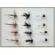 12 Dry Flies - Adams,Alder & Caenis