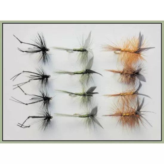 12 Dry Flies - Hawthorn,Whickhams,Dark Olive