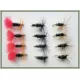 12 Dry Flies - Red Tag, Black & Peacock & Coachman