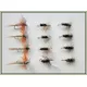 12 Dry Flies - Coachman, Hares Ear &  Coch Y Bondhu