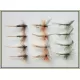 12 Dry Flies - Hares Ear, Pheasant Tail & Olive