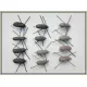 12 Mixed Barbless Gum Beetle