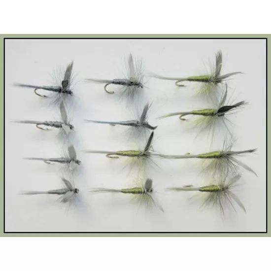 12 Barbless Dry Flies - Olive and Blue Dun