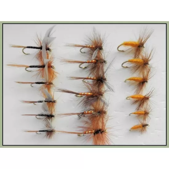 18 Drys, Ginger Quill, Carrot, Orange Spinner