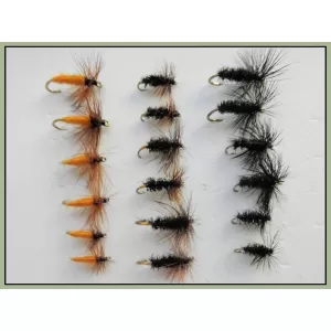 18 Drys - Carrot, Black & Peacock, Cochybondhu