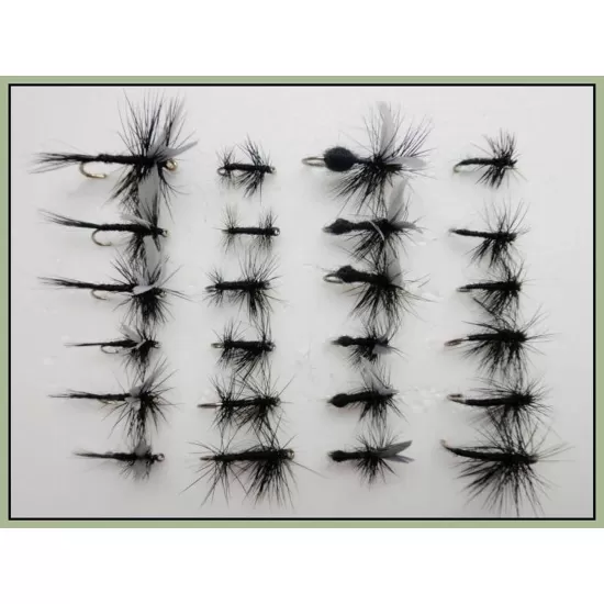 24 Black Dries, Spider, Gnats, Midge, Ants