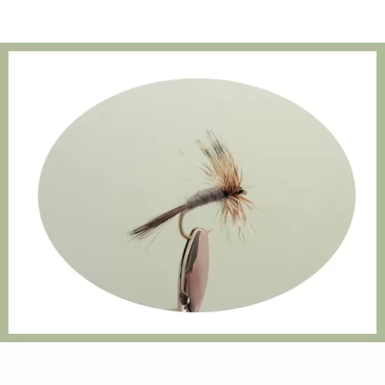 30 Drys, 10 Varieties, all named