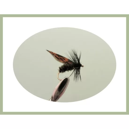 30 Drys, 10 Varieties, all named