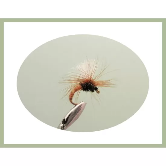 45 Mixed Flies in a Troutflies -  LARGE Silicone Insert Box