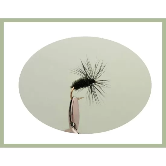 30 Drys, 10 Varieties, all named