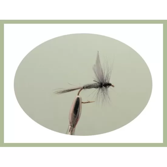 24 Dry Flies in a LARGE Troutflies Silicone Insert Box