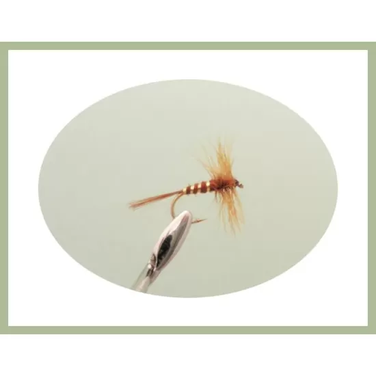 24 Dry Flies in a LARGE Troutflies Silicone Insert Box